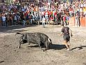 Capeia 13_51
